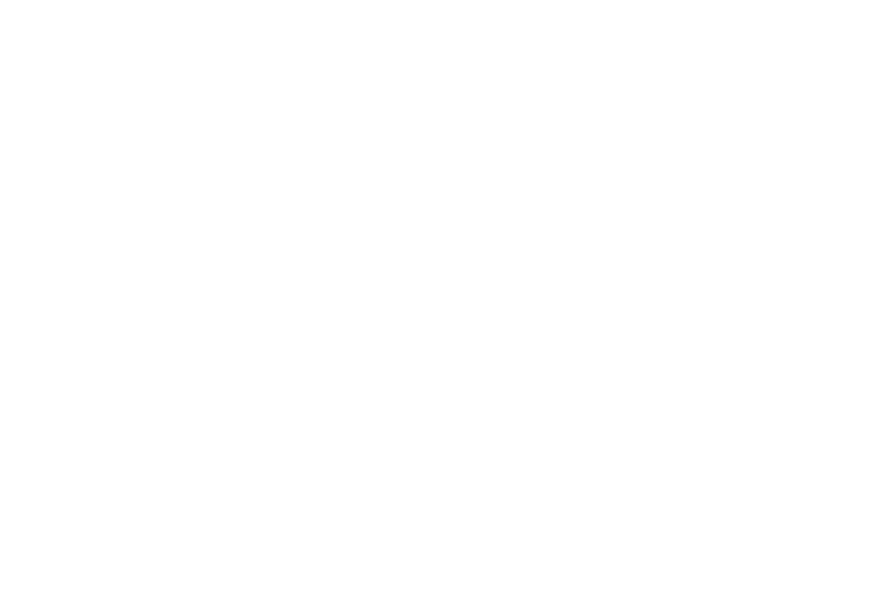 Hitachi- ein Kunde der maintech