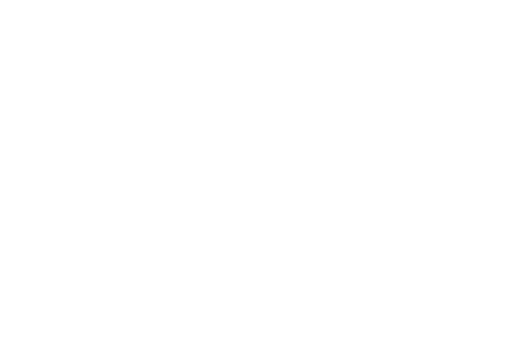 Vishay- ein Kunde der maintech