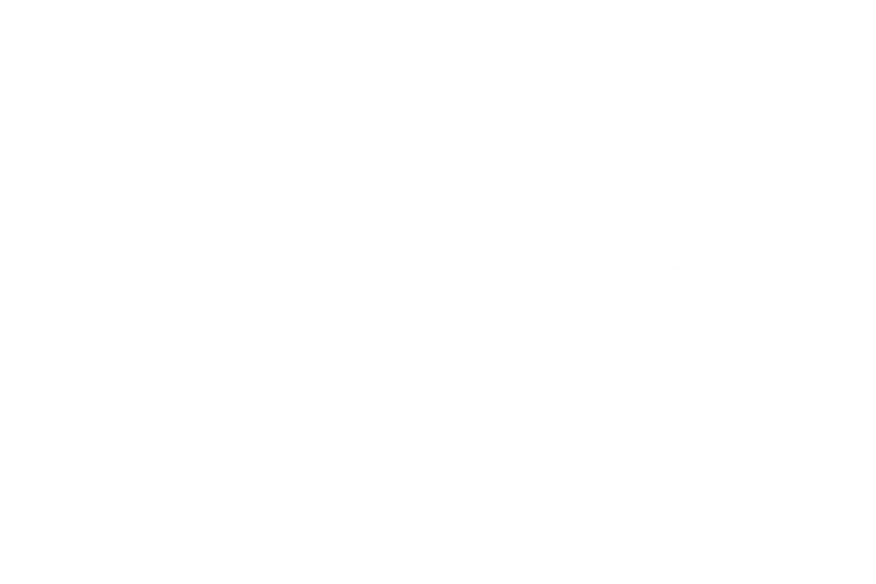 Logo_Customer Vishay_maintech
